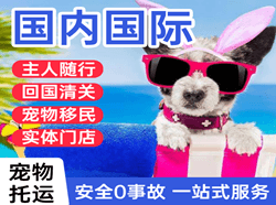 兰州机场物流国际宠物托运 【国